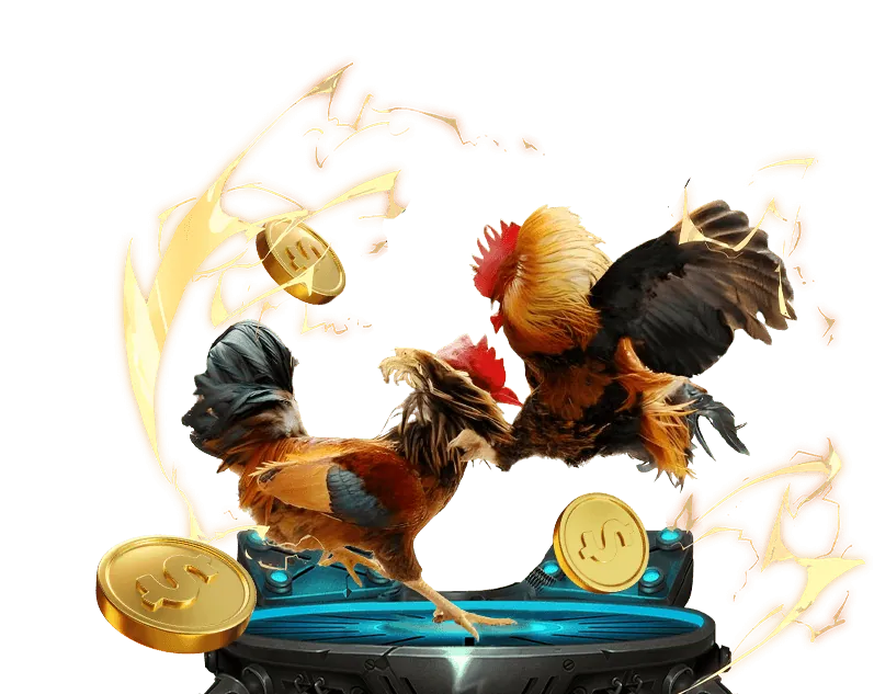 Trải nghiệm đá gà trực tiếp trên di động tại King 88